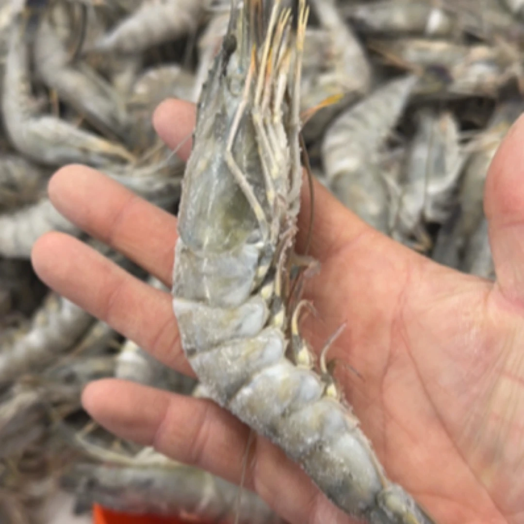 大个黑虎虾500g非常好吃