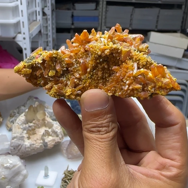 昌化石印石原石料雌s黄