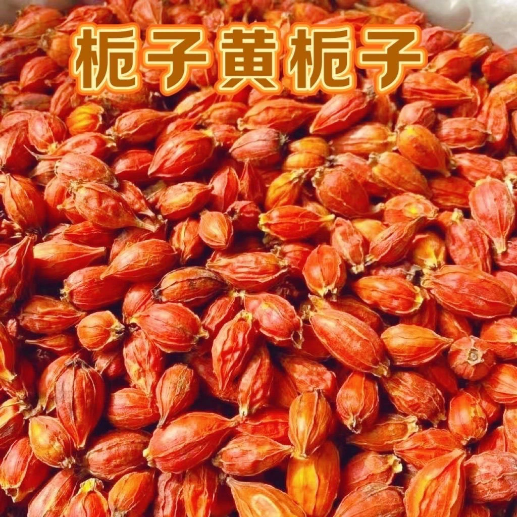 黄桅子正宗食用上色商用批发栀子花茶栀子黄泡茶新货栀子卤肉