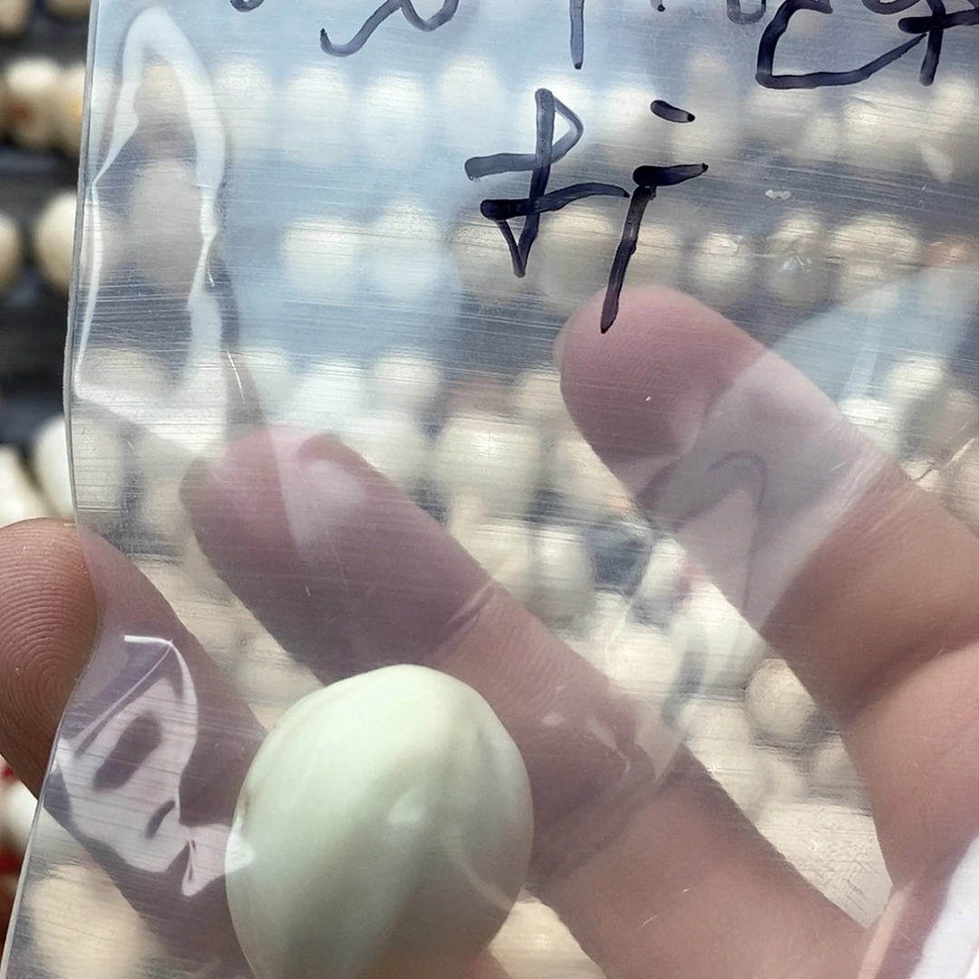 扬***航菩提根/象牙果吊坠