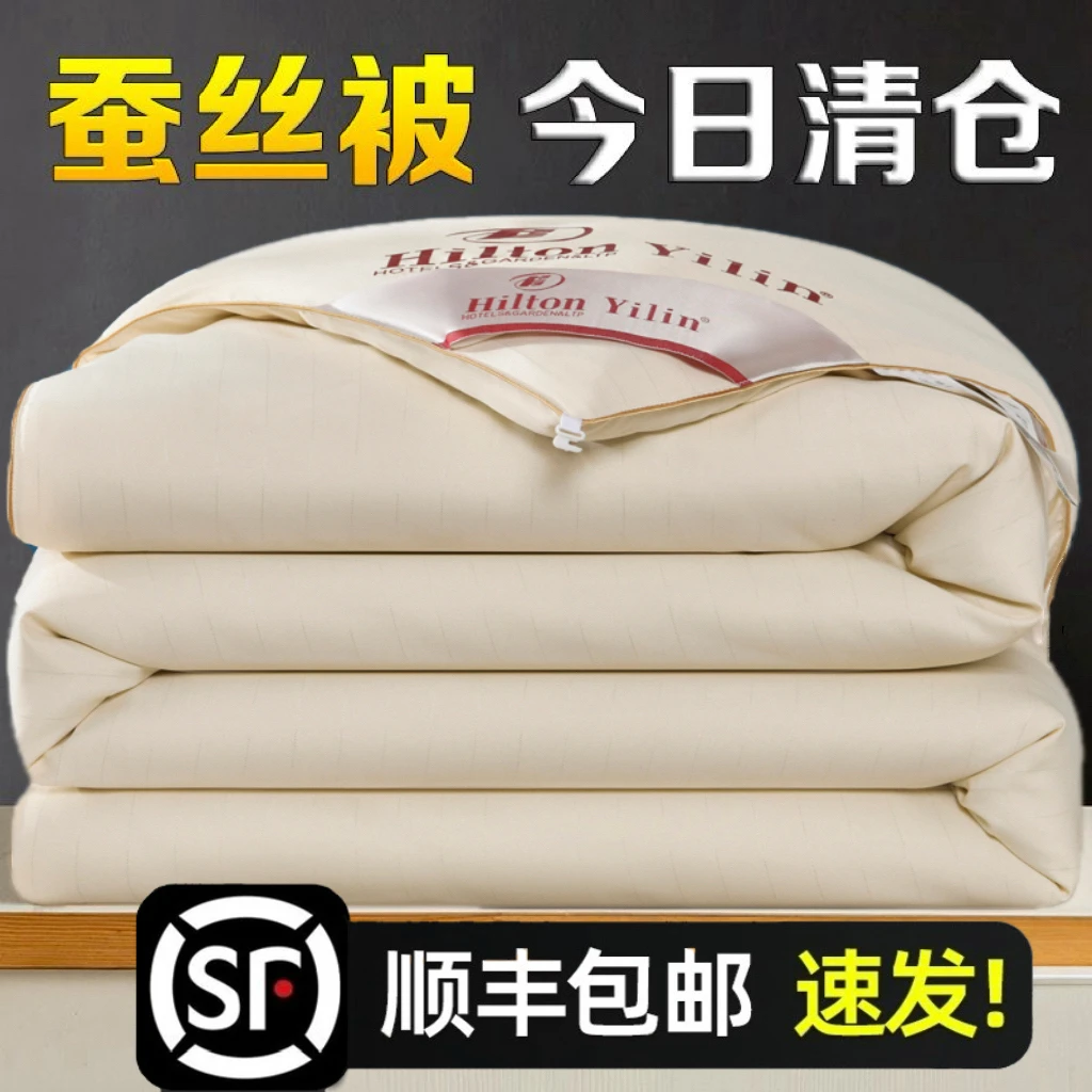 出口A+蚕丝被100桑蚕丝夏凉被正品全棉被芯双人加厚冬被子春秋被