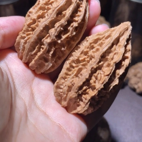 把件文玩核桃东北野生楸子小园 167