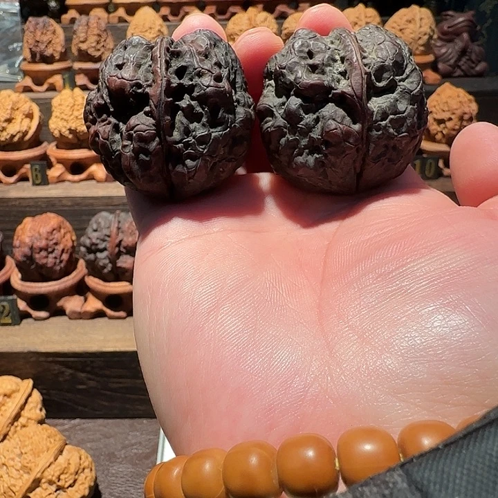 核桃老树九五蟾王十八包43尺