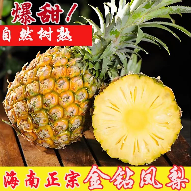 TZ海南金钻凤梨现采现发不挖眼不泡盐水自然熟原产地直发新鲜