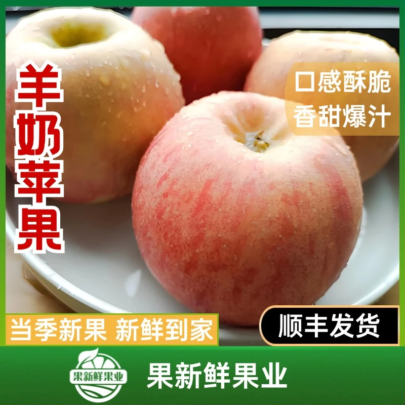 【羊奶苹果】（约5.5-6斤毛重）口感酥脆香甜爆汁新鲜应季同城包邮送货上门