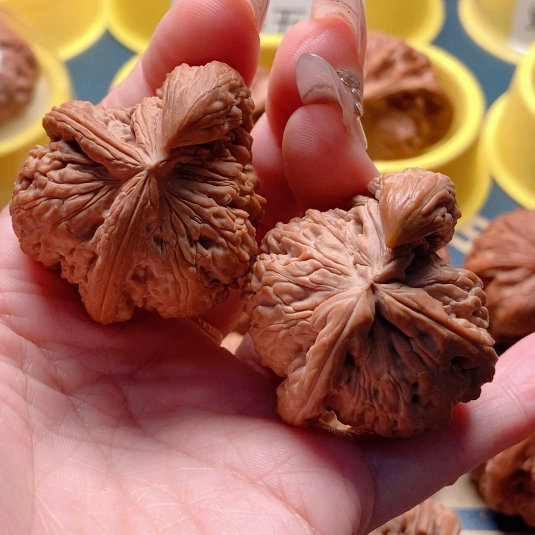 文玩核桃把件42尺白狮子三棱挂角