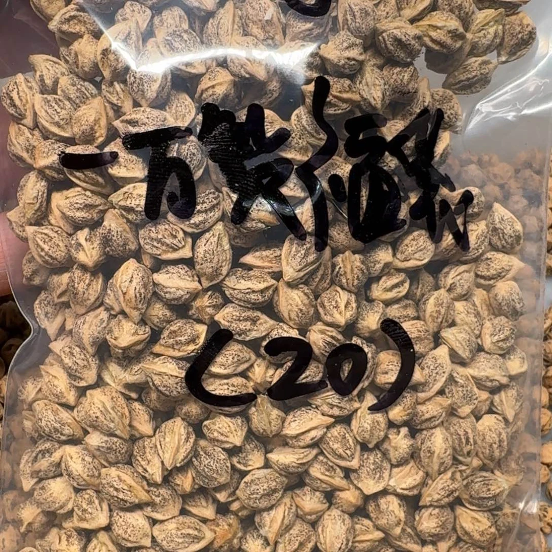 柏香籽/百香籽吊坠蝶*