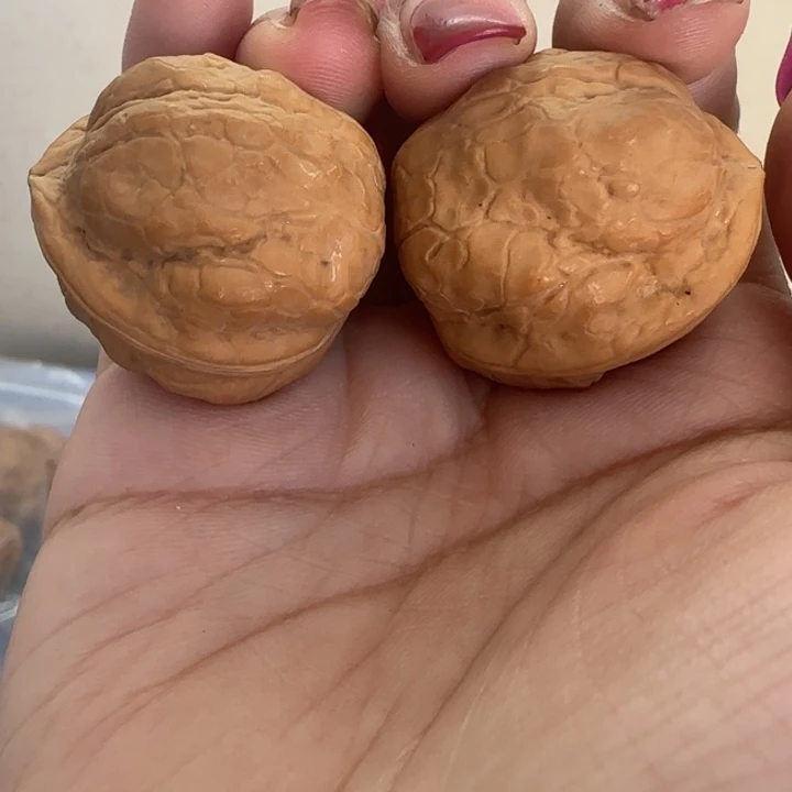 文玩核桃吊坠铁鹦鹉微瑕