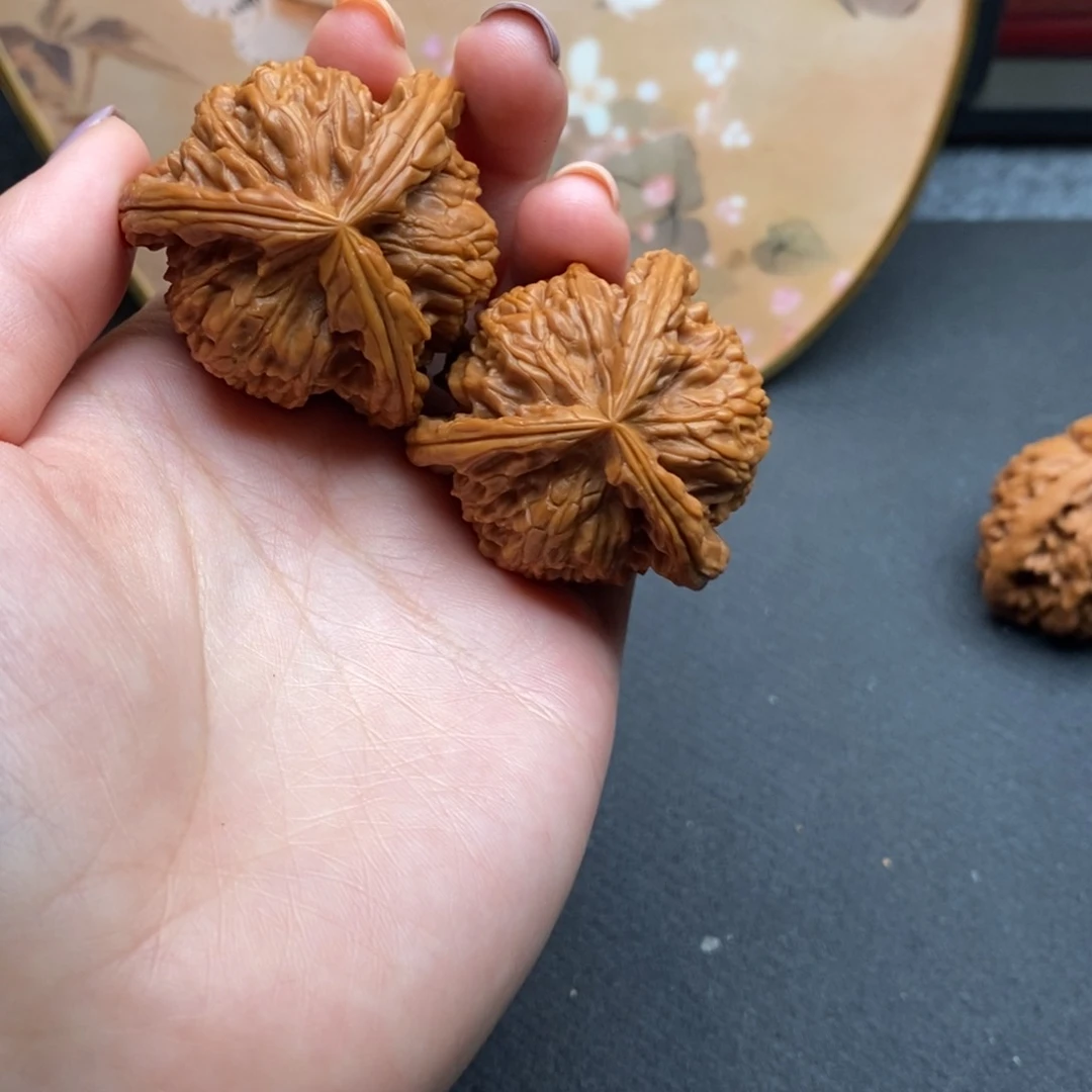 萝***纲白狮子1111111111