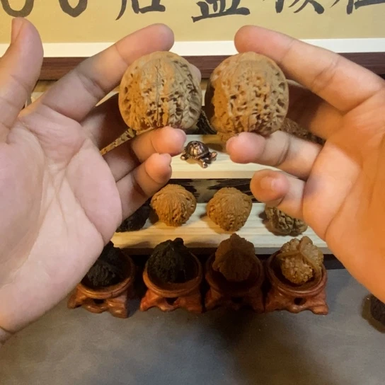 40加血麒麟一般对