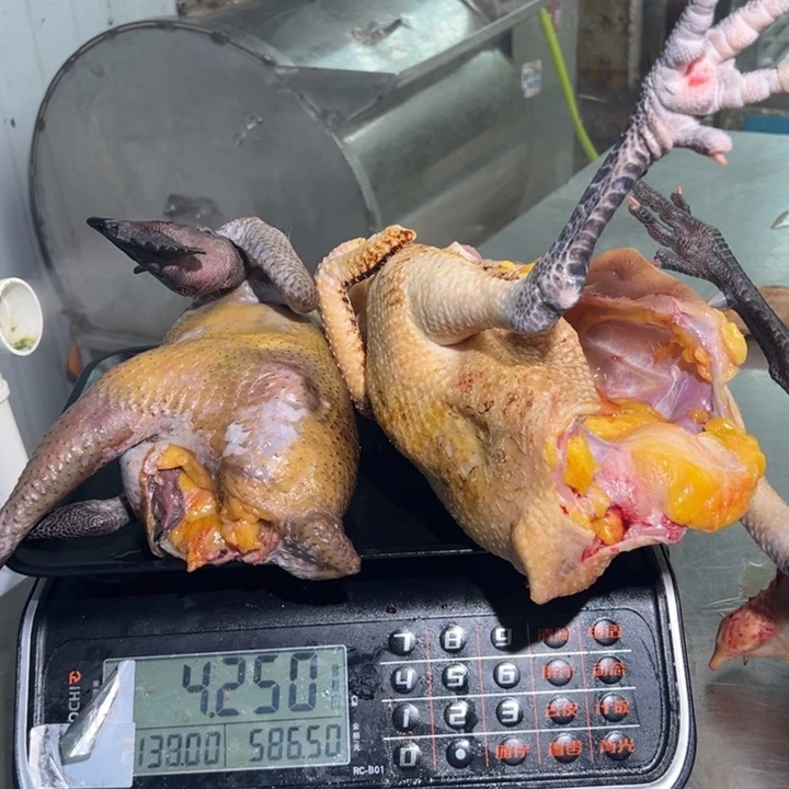一号母鸡食用农产品中国大陆阿**亚