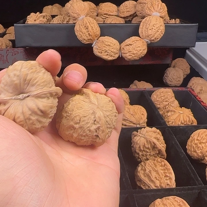 森***森吊坠龙脊菩提啊啊啊啊啊啊啊南瓜11