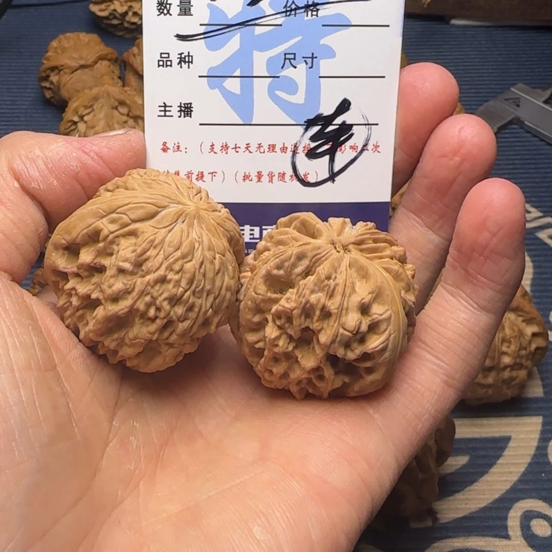 我们的生活也是如此的