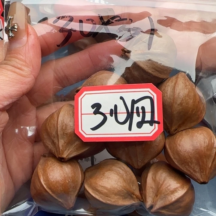 红****手串橄榄核橄榄核