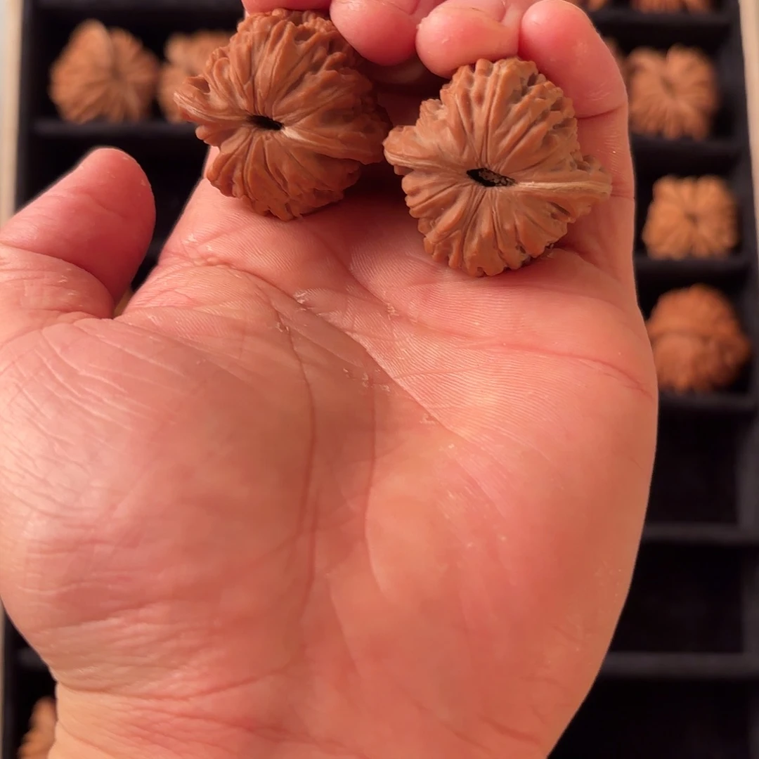 核桃手串/手链5555