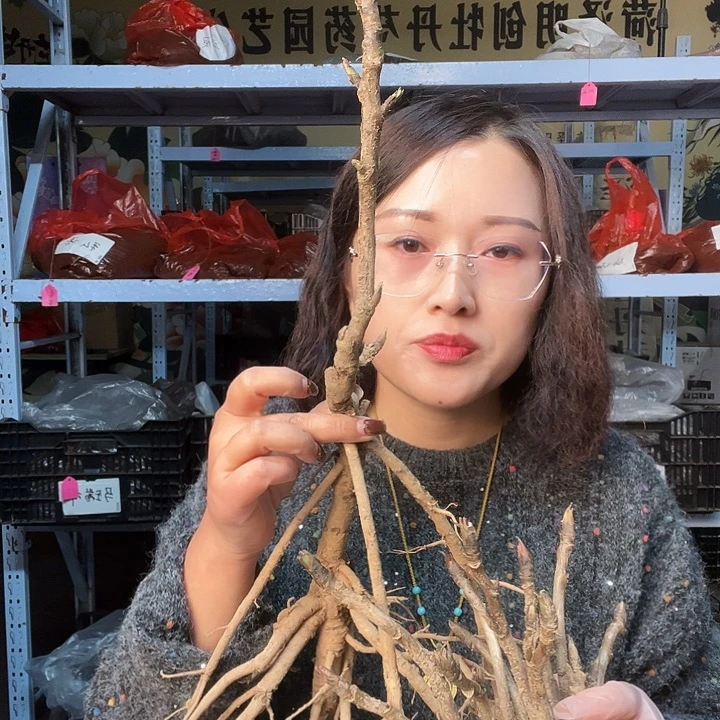 当前无花栽培后可以开花