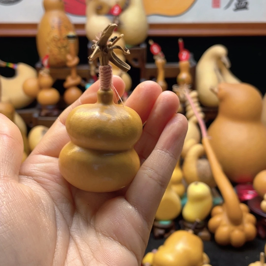 +****?大自然的秘密第十一章第一