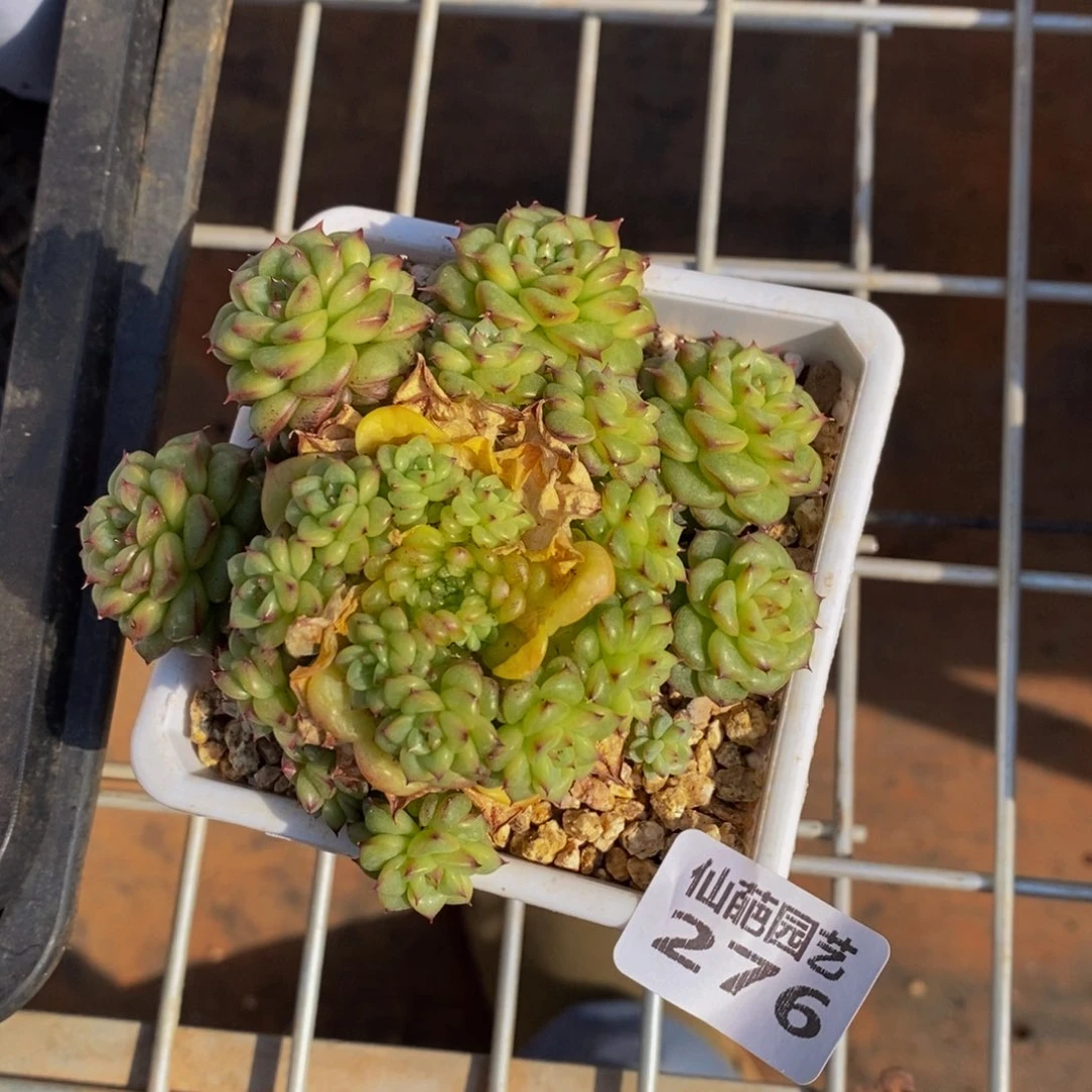 颜*276多人在一起的时候我