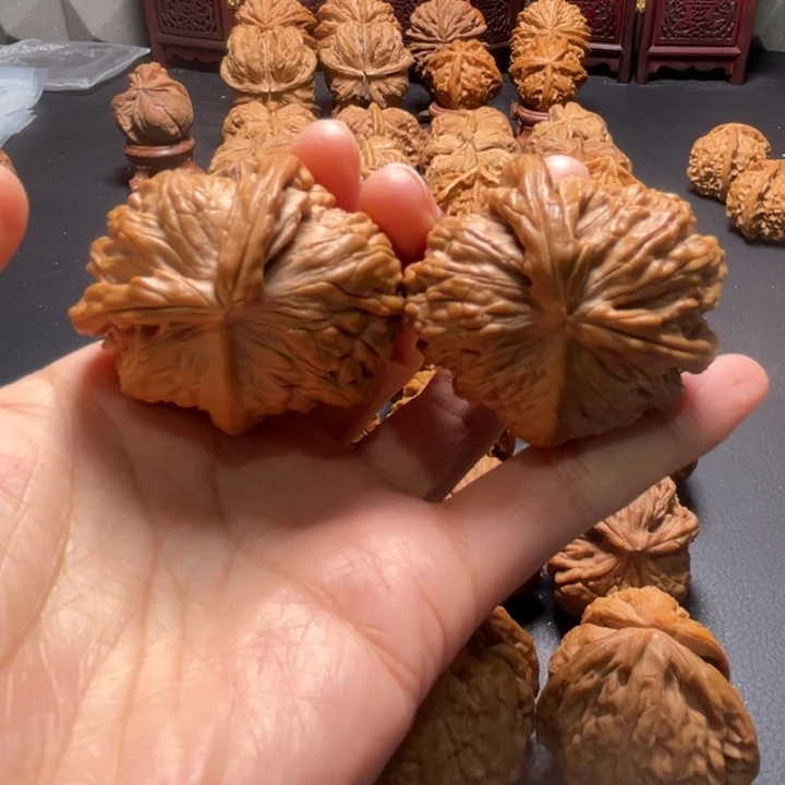 白狮子两棱挂角核桃哈哈哈哈哈哈哈