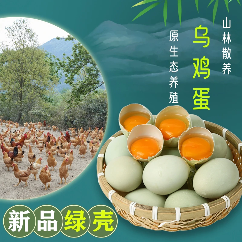 40枚装新鲜绿壳乌鸡蛋正宗山林散养新鲜鸡蛋 40-50克/枚