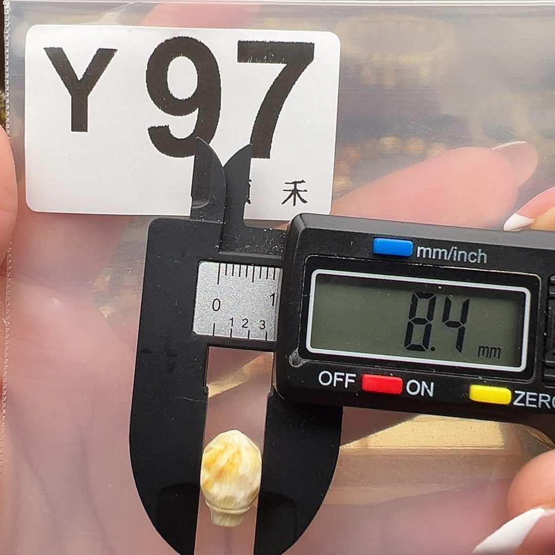 裸石琥珀未镶嵌三通