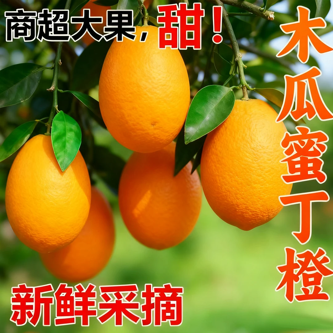 湖北木瓜蜜丁橙香甜橙饱满皮薄纯甜多汁自家种植自然成熟5斤9斤