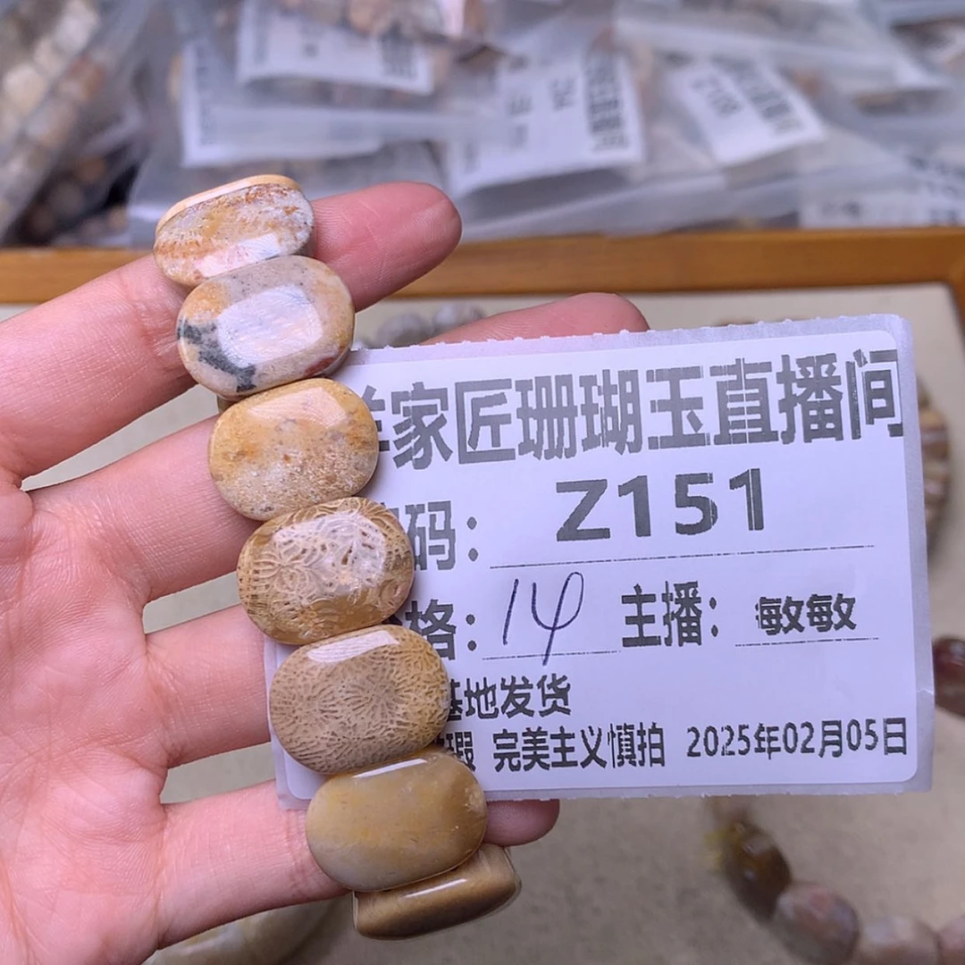 【闪购商品】硅化珊瑚（珊瑚玉）手镯未镶嵌?*Z151