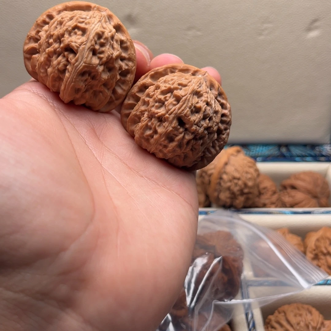 43白狮子修好对复刻