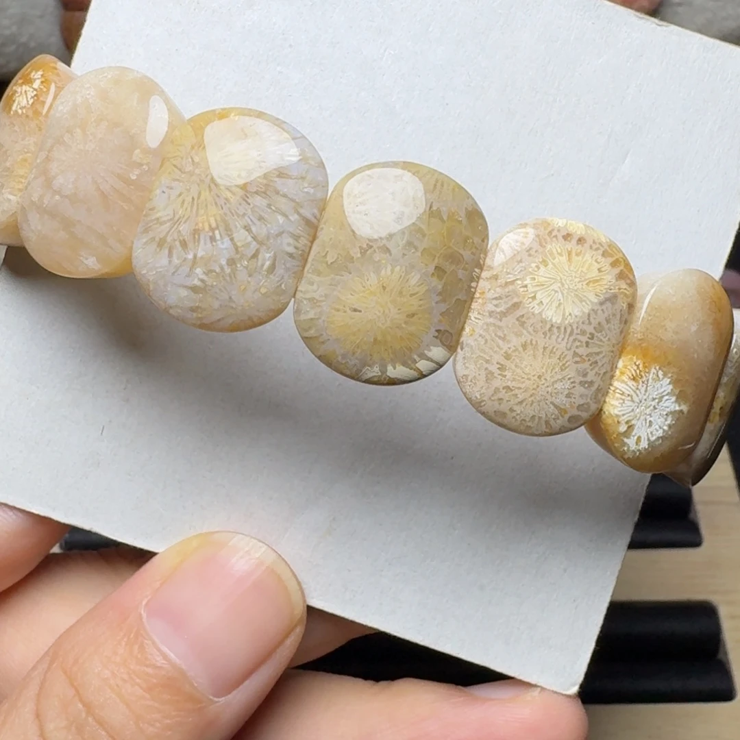 未镶嵌太值啦！玉透大花14片硅化玉