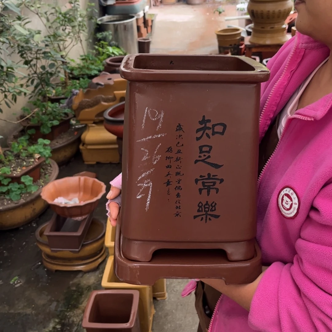 紫砂花盆盆景艺术