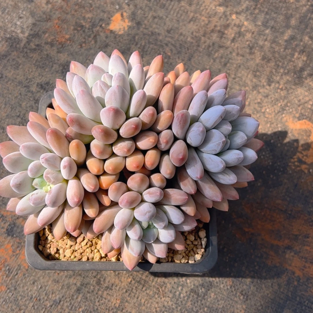 11111111111111111111111