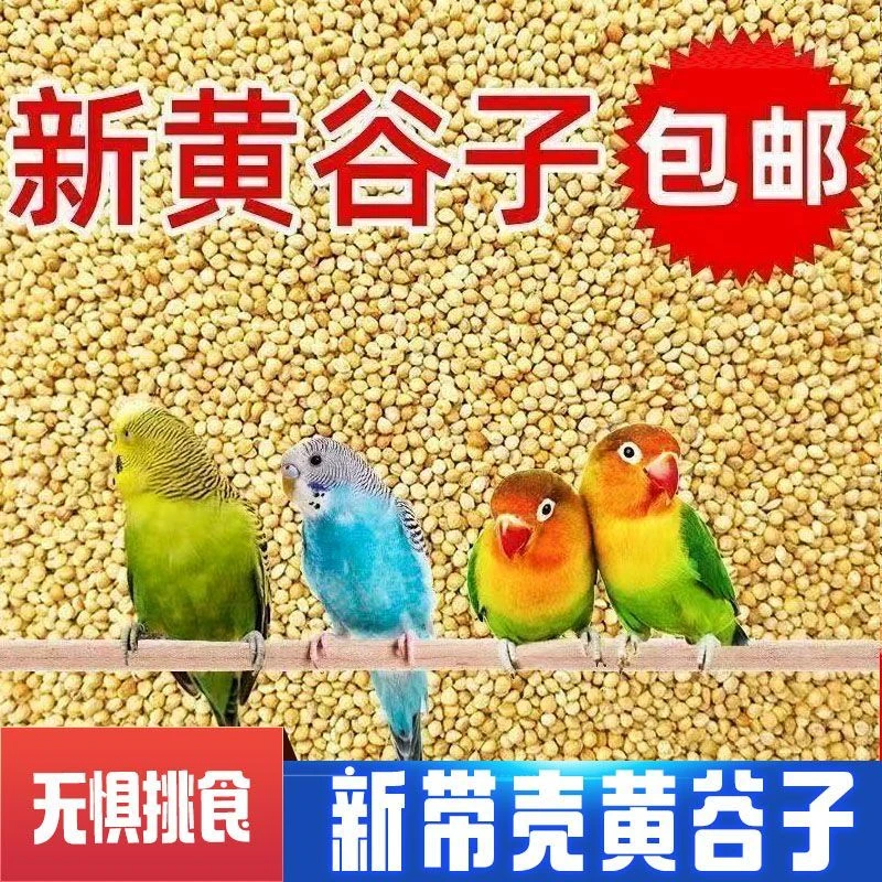 新黄谷子带壳小米鹦鹉饲料玄凤牡丹虎皮专用鸟食粮食