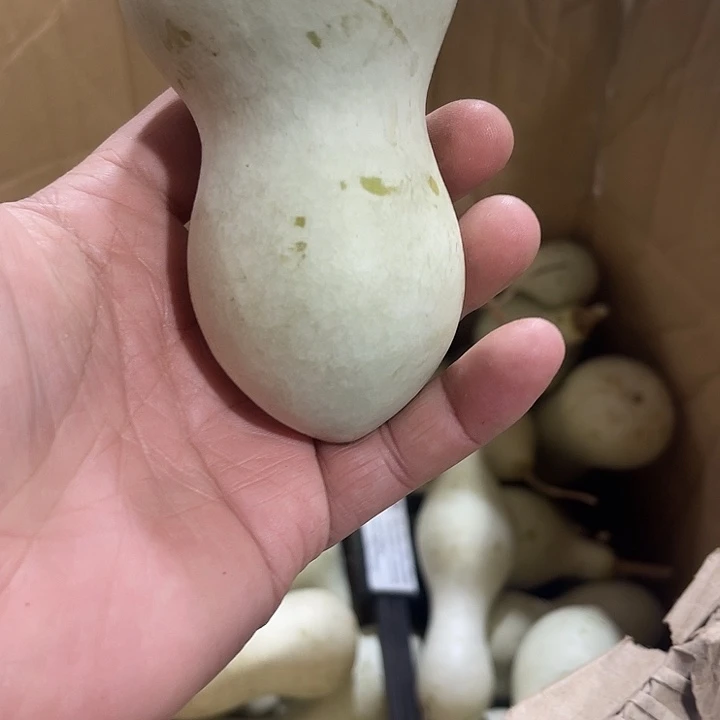 非洲紫檀（红花梨）狗*兜