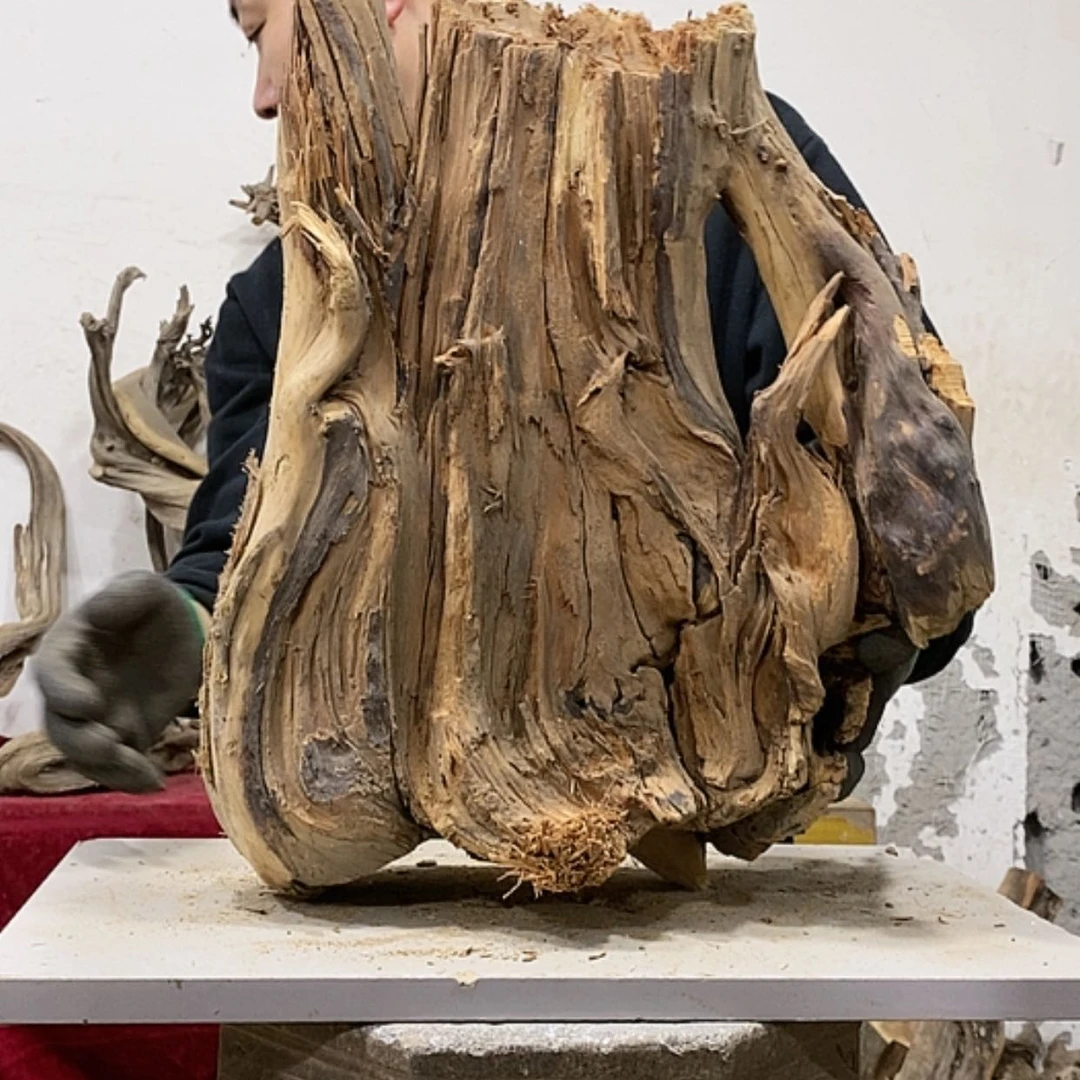 【闪购商品】柏木展****）我们都是好孩子