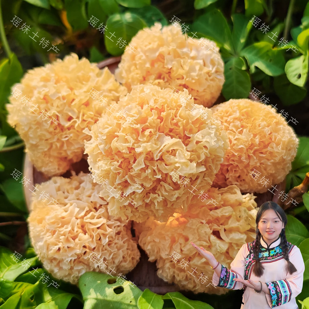 【瑶妹臻品】高山小银耳 农家土特产 可搭配枸杞