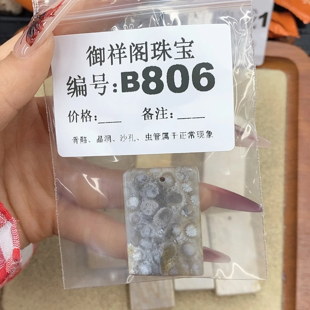 硅化珊瑚（珊瑚玉）颈饰未镶嵌江****?