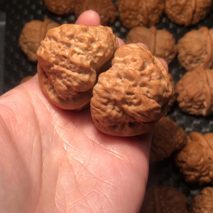 文玩核桃把件伍*柒蛤蟆