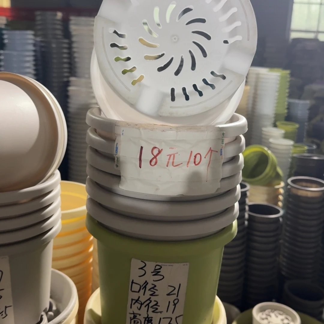 四季3#口径21无拖果绿10个