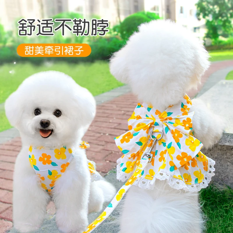 日韩狗狗牵引绳宠物衣服撞色蝴蝶结胸背带遛猫绳猫绳子牵引猫夏季