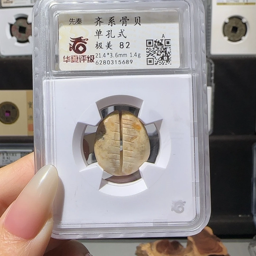 6***）铜贝5689。。。。。。。。5#