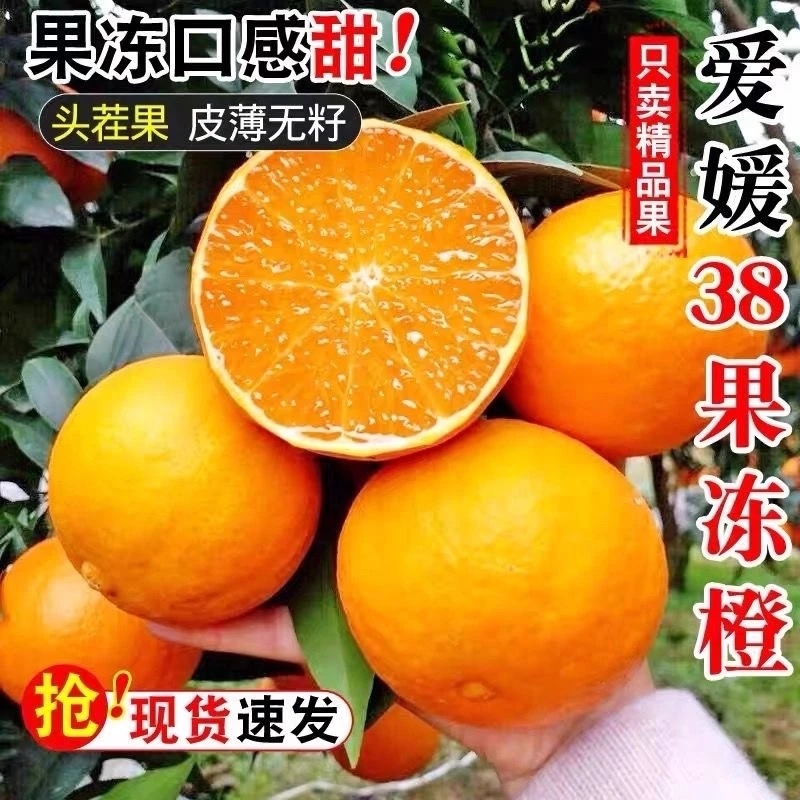 【精品爱媛果冻橙】四川爱媛38号新鲜橙子3斤5斤当季水果柑橘现摘