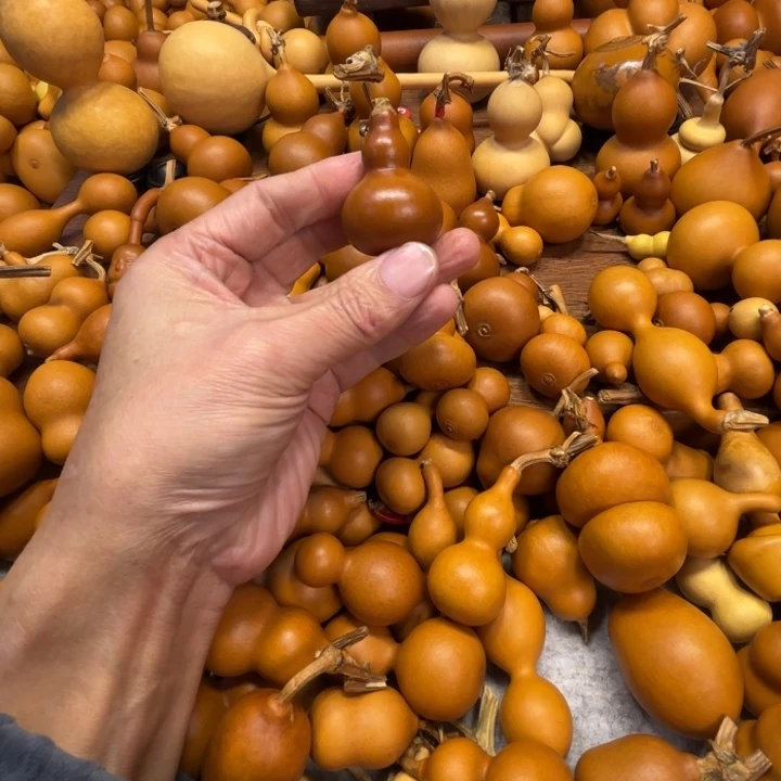 伽*?尝尝大鱼海棠的一把紫皮葫芦