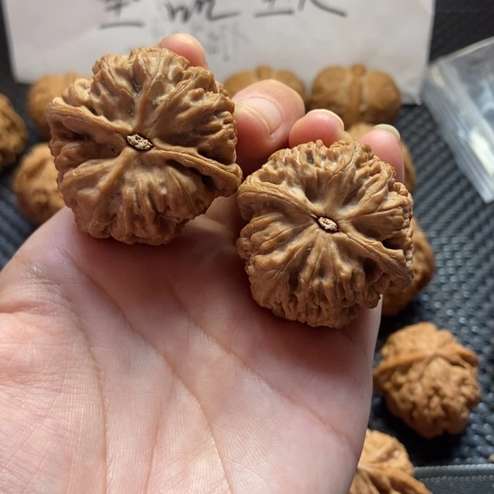 把件文玩核桃三***火粗筋38尺寸