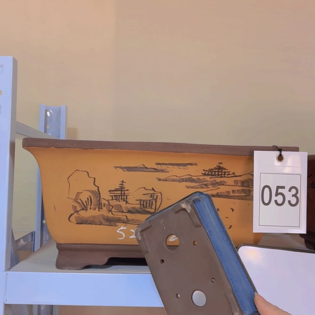 紫砂大正四方中号黄色送一小盆