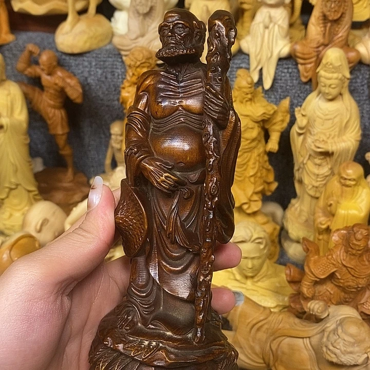 黄杨木黄杨木小叶瑕疵达摩