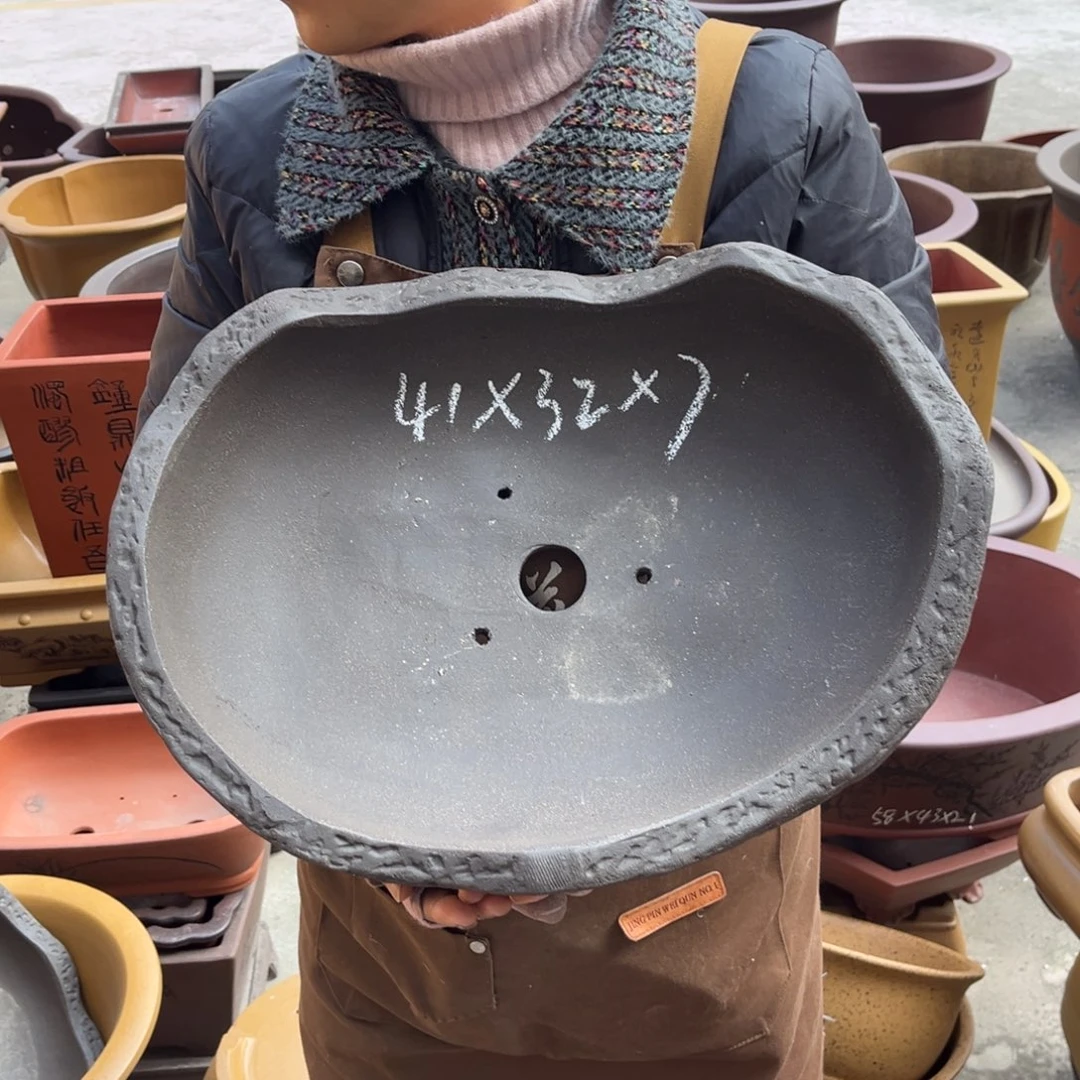 花盆紫砂盆景艺术