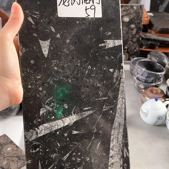 河***白角石化石茶盘干泡台