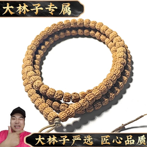 【大林子·甄选】 海龙凤羽小金刚