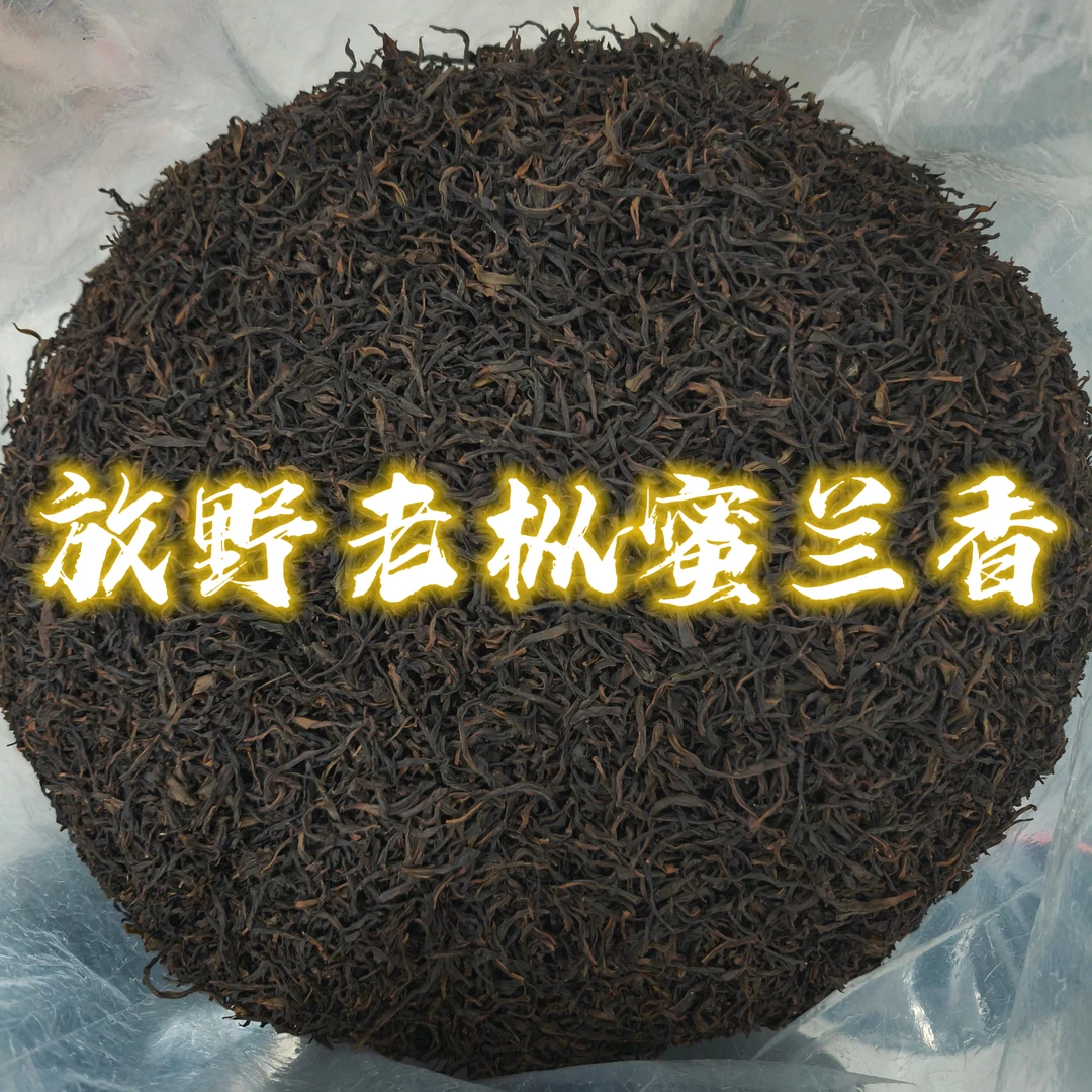 2025新茶放荒野老枞蜜兰香 丨水甜柔枞韵明显海拔600米50年树龄