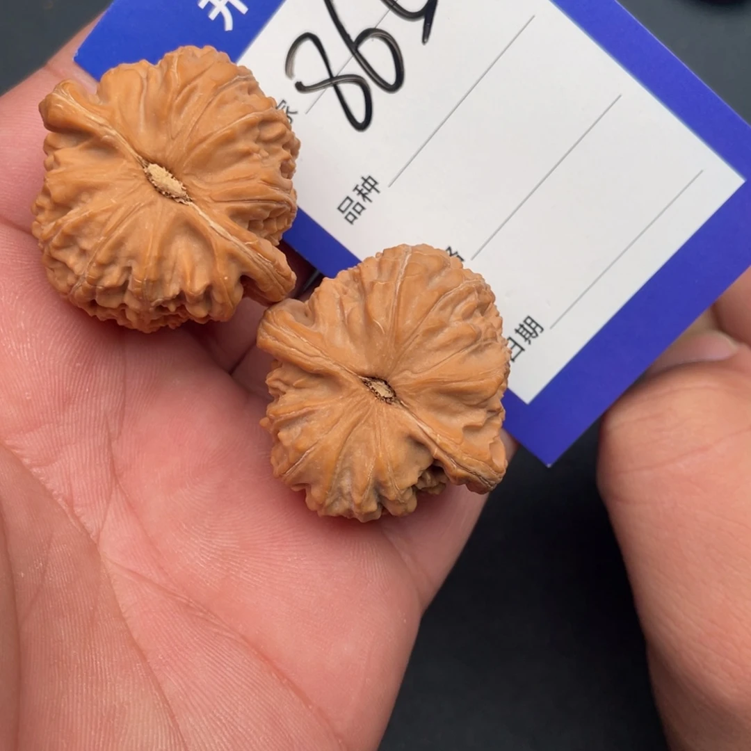 核桃把件37白狮子，865号